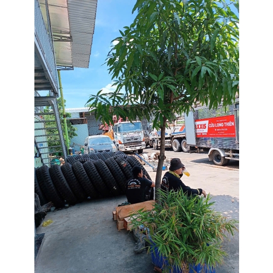 DỊCH VỤ VÁ LỐP XE LƯU ĐỘNG PHỔ BIẾN NHẤT TP. HỒ CHÍ MINH